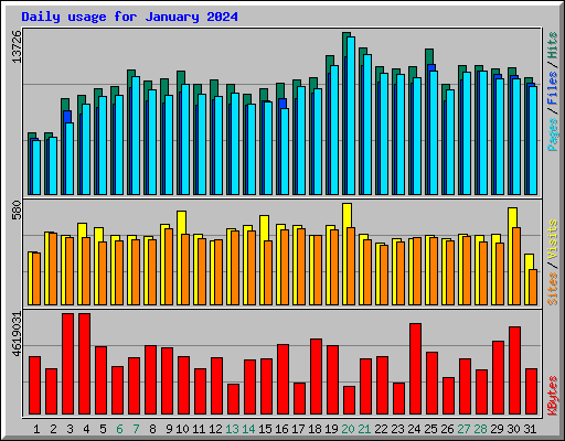 Daily usage for January 2024