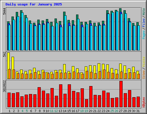 Daily usage for January 2025