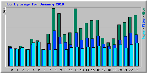 Hourly usage for January 2019