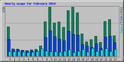 Hourly usage for February 2019