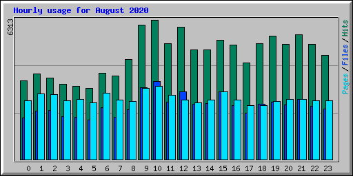 Hourly usage for August 2020