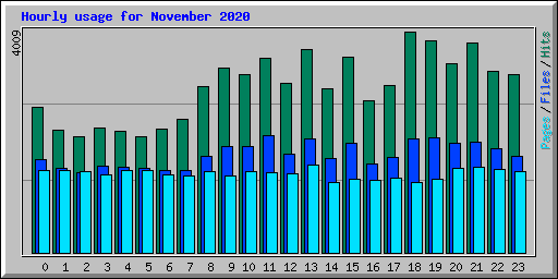 Hourly usage for November 2020