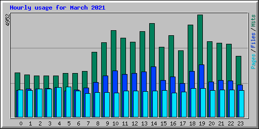 Hourly usage for March 2021