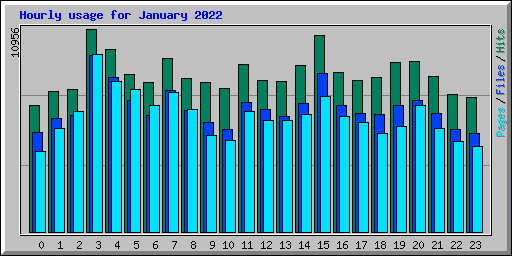 Hourly usage for January 2022