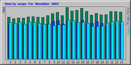 Hourly usage for November 2022