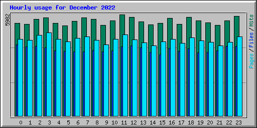 Hourly usage for December 2022