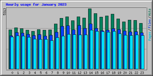Hourly usage for January 2023