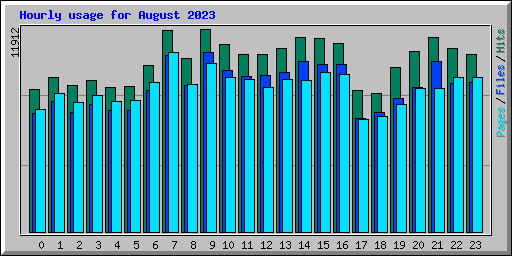 Hourly usage for August 2023