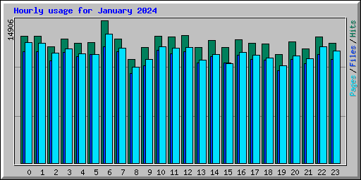 Hourly usage for January 2024