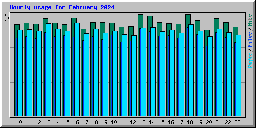 Hourly usage for February 2024