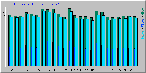 Hourly usage for March 2024