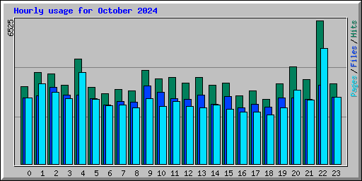 Hourly usage for October 2024