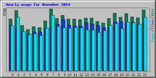 Hourly usage for November 2024