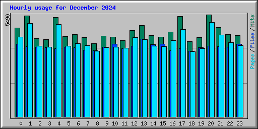 Hourly usage for December 2024
