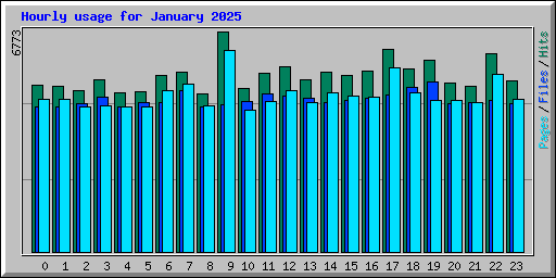 Hourly usage for January 2025