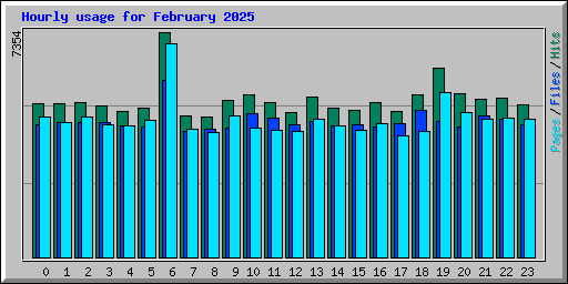 Hourly usage for February 2025