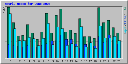 Hourly usage for June 2025