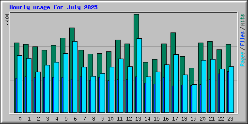 Hourly usage for July 2025