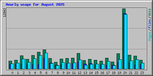 Hourly usage for August 2025