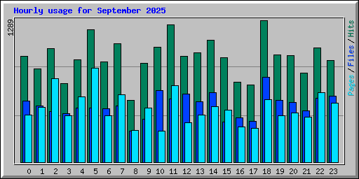 Hourly usage for September 2025