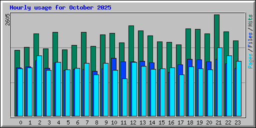 Hourly usage for October 2025
