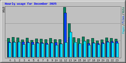 Hourly usage for December 2025