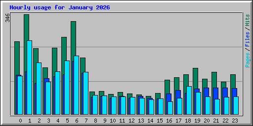 Hourly usage for January 2026