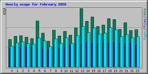 Hourly usage for February 2026
