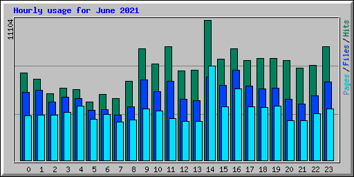 Hourly usage for June 2021